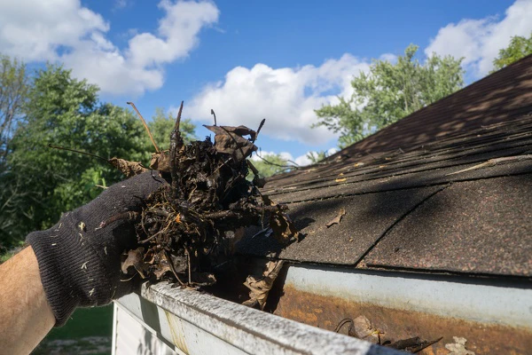 Gutter Cleaning Service